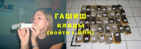 эйфоретик Бородино