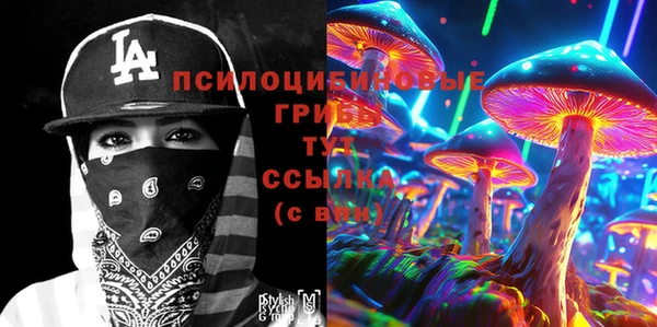 эйфоретик Бородино