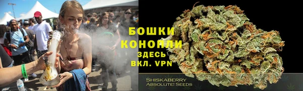 эйфоретик Бородино