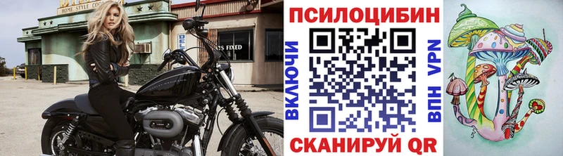 Псилоцибиновые грибы Magic Shrooms  Туран 